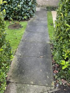 Garden path before
