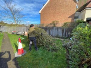 Garden room 2 before