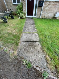 Path before